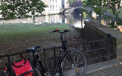 The canals and swans of Bruges on an early-morning ride before the tourist buses arrived! (submitted by Natalie123)