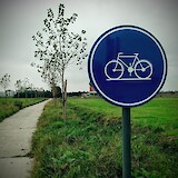 The bike paths make it pretty clear which way cyclists should go! (photo by Natalie123)