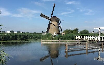 Photo 1 (submitted by Donna Lee)