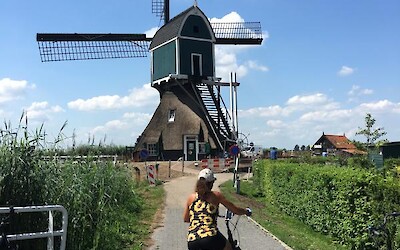 Photo 2 (submitted by Donna Lee)