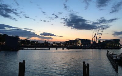 Photo 6 (submitted by Donna Lee)