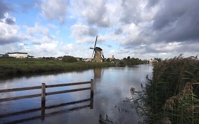 Photo 1 (submitted by Eric12302)