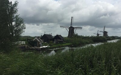 Photo 2 (submitted by Louis)