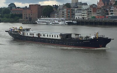 Photo 3 (submitted by Louis)