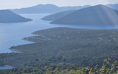 (submitted by Joanne Slingerland)