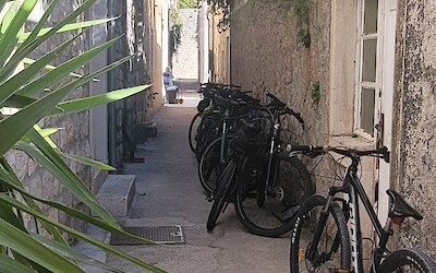 (submitted by J.Miller)