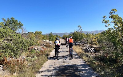 (submitted by J.Miller)