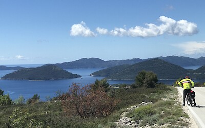 Ride thrrough vineyards en route to Ston (submitted by Andrew Lindsay)