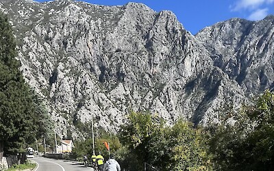 (submitted by Pamela Lydon)