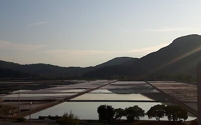 Ston (submitted by Bj&ouml;rg)