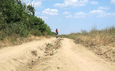 Photo 2 (submitted by Gretar)