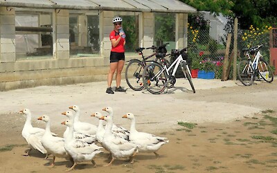 Photo 4 (submitted by Gretar)