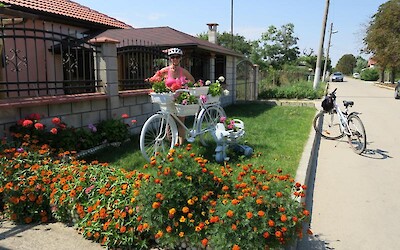 Photo 5 (submitted by Gretar)