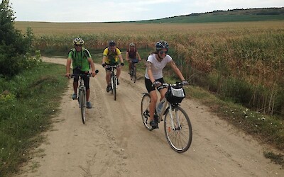 Cycling through cornfields and farmlands (submitted by JimJ)