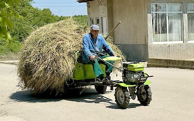 (submitted by Jennifer K.)