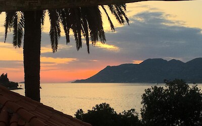 Photo 1 (submitted by Jannie)