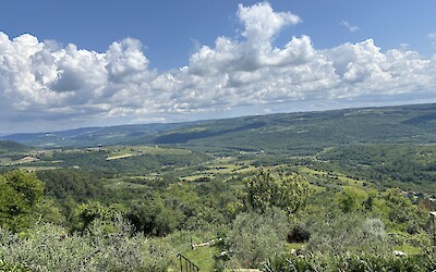 (submitted by Jeff Kuerbitz)