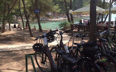 Perfect pit stop (submitted by Lori)