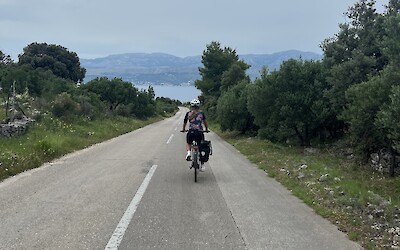 (submitted by Andreas Mentz)