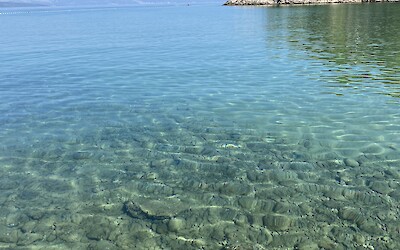 (submitted by Cati C)