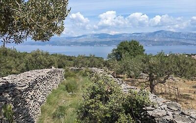 (submitted by Joshua Gordon)