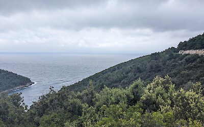 (submitted by Joshua Gordon)