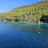 Daily swimming opportunities (photo by Paul)