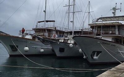 The Harmonia (submitted by Cory)