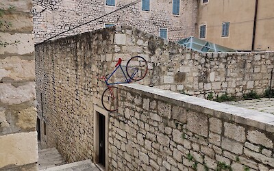 (submitted by Daria Zubakova)