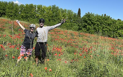 Poppies! (submitted by Jennifer Dattke)