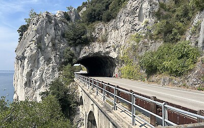 (submitted by Jay Penner)