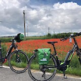 On the way to Aquileia, stage 3 (photo by OR bikers)