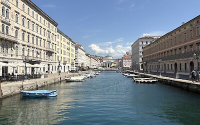 (submitted by Edgar Albo)