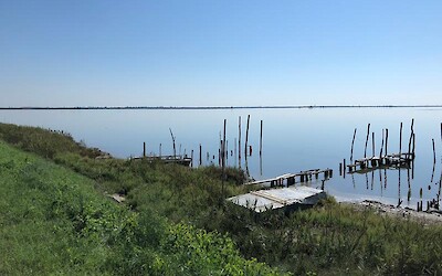 Photo 1 (submitted by Juiti)