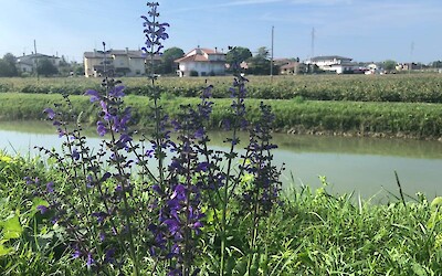 Photo 2 (submitted by Juiti)