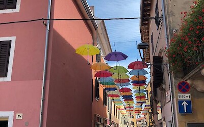 Photo 4 (submitted by Juiti)