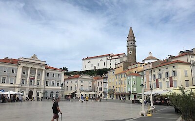 Photo 5 (submitted by Juiti)