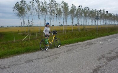 Photo 1 (submitted by alda)