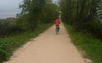 Photo 2 (submitted by alda)