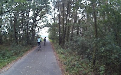 Photo 3 (submitted by Calista1226)