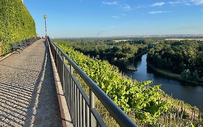 (submitted by Adam P.)