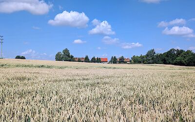 Czech Countryside (submitted by Jen D.)