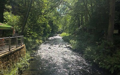 On our way to a national park (submitted by Sandy89)