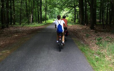 Biking through the woods... (submitted by JulieG)