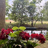 From my room in Zehednick (photo by Robin Jones)