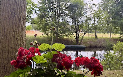 From my room in Zehednick (submitted by Robin Jones)