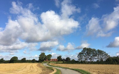 Photo 1 (submitted by Long legs)