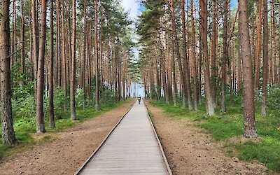 Trail thru the trees....to a beach view. (submitted by Michael Drake)