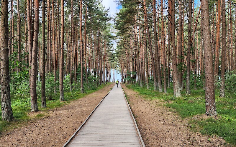 Trail thru the trees....to a beach view. (submitted by Michael Drake)