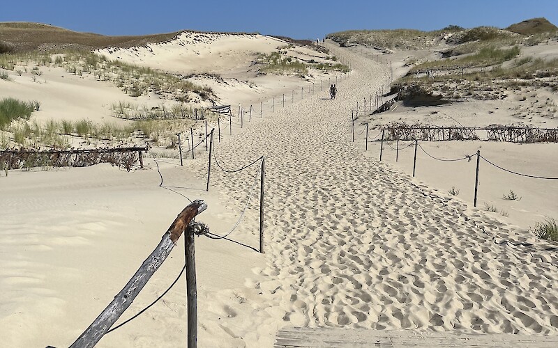 The Sand dunes on the Curonian spit (submitted by Deborah Ryan)